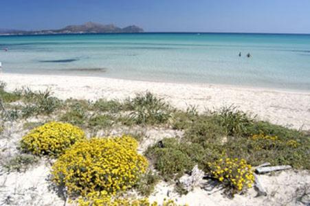 Apartment Alcudia Ocean View المظهر الخارجي الصورة